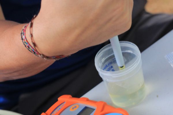 Dispositivos de trabajo usados en la Escuela de Ciencias del Movimiento Humano y Calidad de Vida.