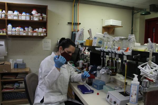 Una mujer con equipo realizando analisis en el laboratorio de Inmunología