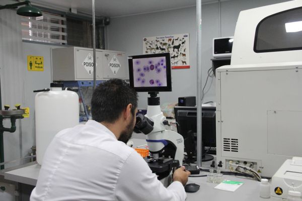 Un hombre realizando analisis a través de un microscopio en el laboratorio de Análisis Clínicos