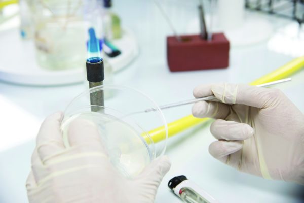 Equipo de trabajo en el laboratorio de Bacterologías