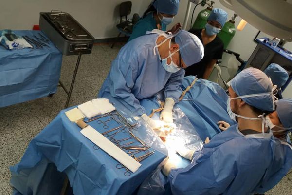 Dos ciruganos en una cirugía en el Hospital de Especies Menores