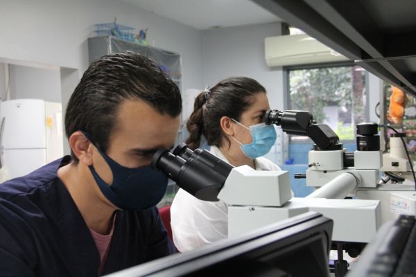 Un hombre y una mujer realizando analisis mediante microscopios en el laboratorio de Micología